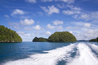 Palau - wiele małych zielonych wysepek i turkusowa woda...